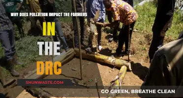 Pollution's Toll: How Environmental Degradation Threatens DRC Farmers' Livelihoods