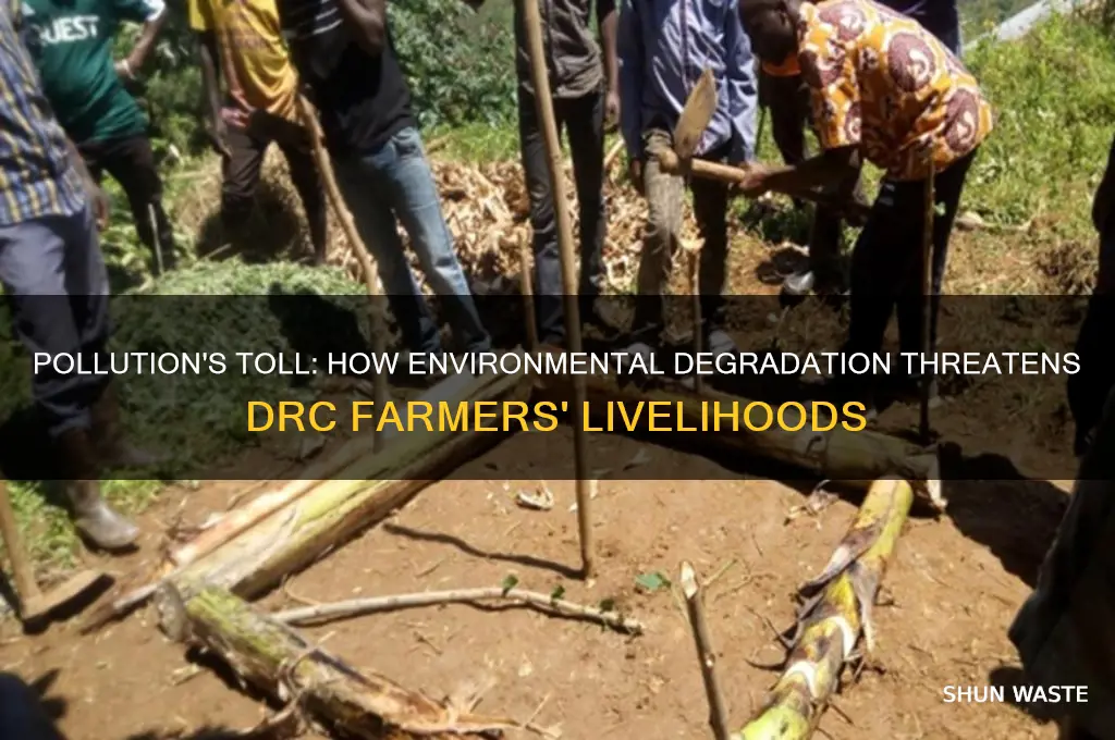 why does pollution impact the farmers in the drc