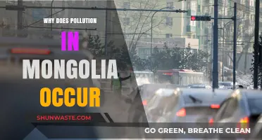 Unveiling Mongolia's Pollution Crisis: Causes and Environmental Impact Explored