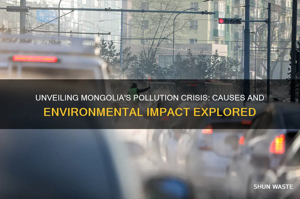 why does pollution in mongolia occur