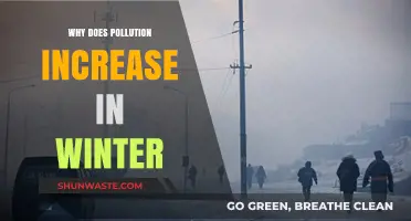 Winter's Haze: Unraveling the Seasonal Surge in Pollution Levels