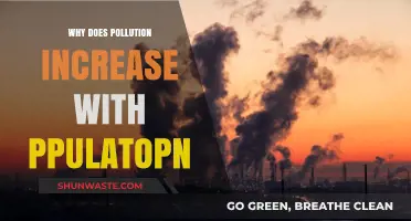 Population Growth and Pollution: Understanding the Environmental Impact