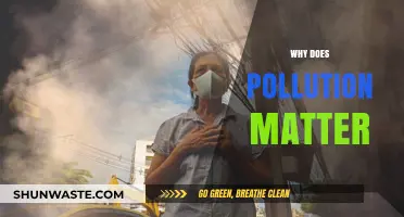 Why Pollution Matters: Uncovering the Impact on Our Planet and Health