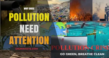 Urgent Attention Needed: Tackling Pollution's Devastating Impact on Our Planet
