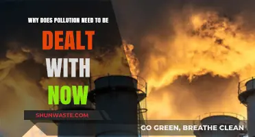 Urgent Action Needed: Tackling Pollution for a Sustainable Future Today