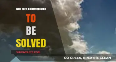 Urgent Action Needed: Solving Pollution for a Sustainable Future