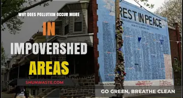 Poverty and Pollution: Why Impoverished Areas Bear the Environmental Burden