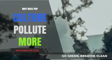 Pop Culture's Dark Side: How Trends Fuel Environmental Pollution