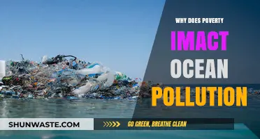 Poverty's Grip: How Economic Hardship Fuels Ocean Pollution Crisis
