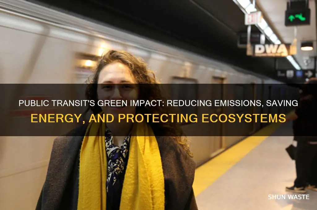 why does public transportation help the environment