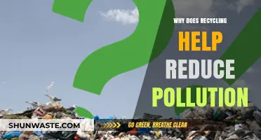 Recycling Reduces Pollution: How Reusing Materials Protects Our Environment