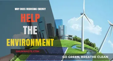 Cutting Energy Use: A Powerful Step Toward Environmental Sustainability