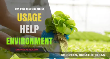 Save Water, Save Earth: How Reducing Usage Protects Our Environment
