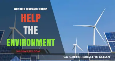 Renewable Energy: A Sustainable Solution for Environmental Preservation and Health