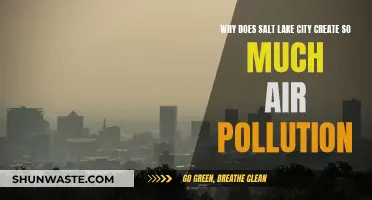 Salt Lake City's Air Pollution: What's the Deal?
