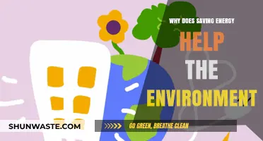 Saving Energy: A Powerful Way to Protect Our Environment