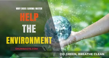Saving Water: A Simple Act with Big Environmental Benefits