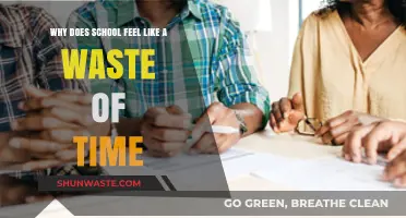 Reevaluating Education: Why School Might Feel Like a Waste of Time