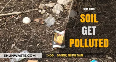 Understanding Soil Pollution: Causes and Impact on Our Environment