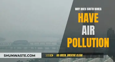 South Korea's Air Pollution: The Dark Cloud Over SK