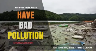 South Korea's Pollution Crisis: Causes and Consequences Explained