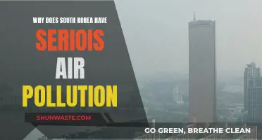 South Korea's Air Pollution: A Serious Problem
