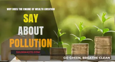 Wealth Creation's Engine: Unveiling Its Impact on Pollution and Sustainability