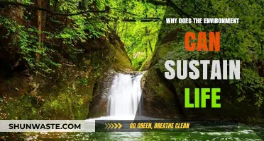 Earth's Life-Sustaining Secrets: Exploring the Environment's Vital Balance