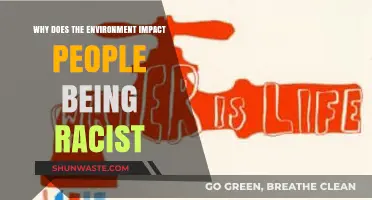 Environmental Factors Fueling Racial Bias: Uncovering the Hidden Connections