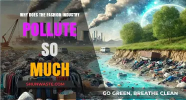 Fashion's Dark Secret: Uncovering the Industry's Massive Pollution Problem