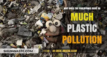 Plastic Crisis in the Philippines: Causes and Consequences Explored