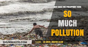 Unraveling the Causes of Severe Pollution in the Philippines