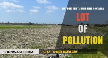 Tijuana River's Pollution Crisis: Causes and Environmental Impact Explained