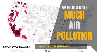 Air Pollution in the US: What's the Deal?