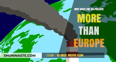 Why the US Pollutes More Than Europe: Key Factors Explained