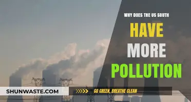Why the US South Faces Higher Pollution Levels: Key Factors