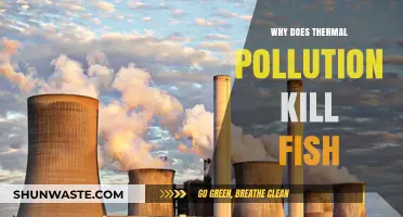 Thermal Pollution's Deadly Impact: How Warmer Waters Threaten Fish Survival