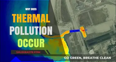 Understanding Thermal Pollution: Causes and Environmental Impacts Explained