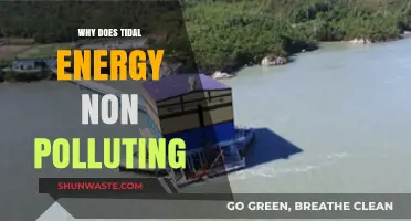 Tidal Energy: A Clean, Renewable Power Source Without Pollution