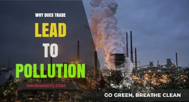Trade's Environmental Cost: How Global Exchange Fuels Pollution and Degradation