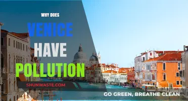 Venice's Pollution Crisis: Causes, Impacts, and Urgent Solutions Needed