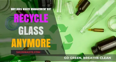 The Decline of Glass Recycling: Waste Management's Shift Explained