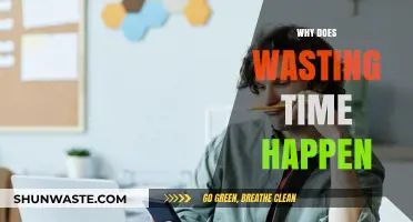 Understanding Procrastination: Why We Waste Time and How to Stop