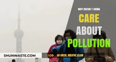 China's Pollution Paradox: Economic Growth vs. Environmental Concerns