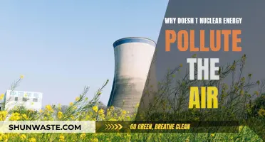 The Clean Energy Source: Nuclear Power's Air Quality Benefits