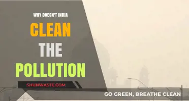 India's Pollution Crisis: Barriers to a Cleaner, Healthier Nation