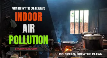 EPA's Indoor Air Pollution: A Regulatory Blind Spot?