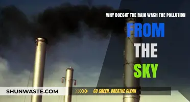 Why Rain Can't Cleanse the Sky of Pollution: Unveiling the Truth