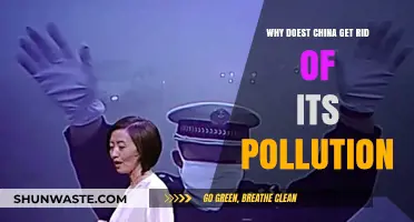 China's Pollution Crisis: Challenges and Barriers to a Cleaner Future