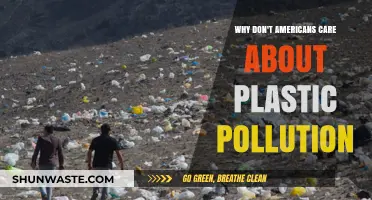 Why Americans Ignore the Plastic Pollution Crisis: A Deep Dive